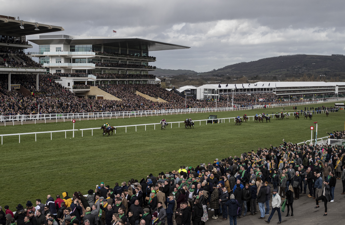 Horse racing at the Cheltenham Festival